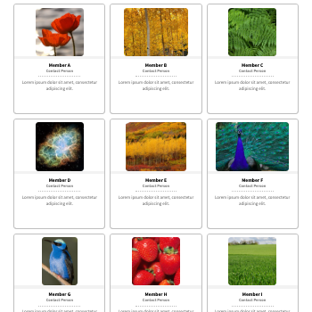 gallery