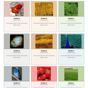 gallery color